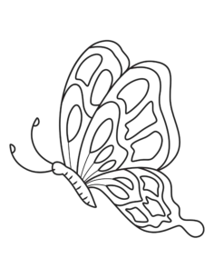 Butterfly Pattern Of Shapes Side View Tracing Worksheets Pdf, Free Vectors File